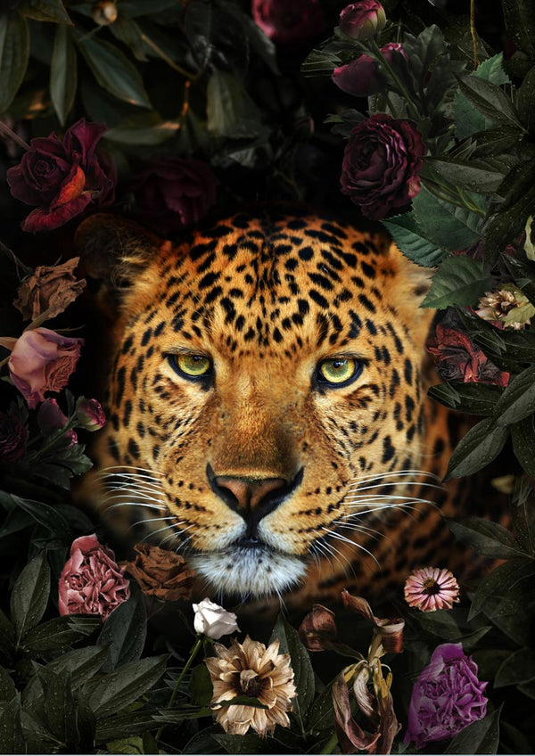 Leopard med blomster poster