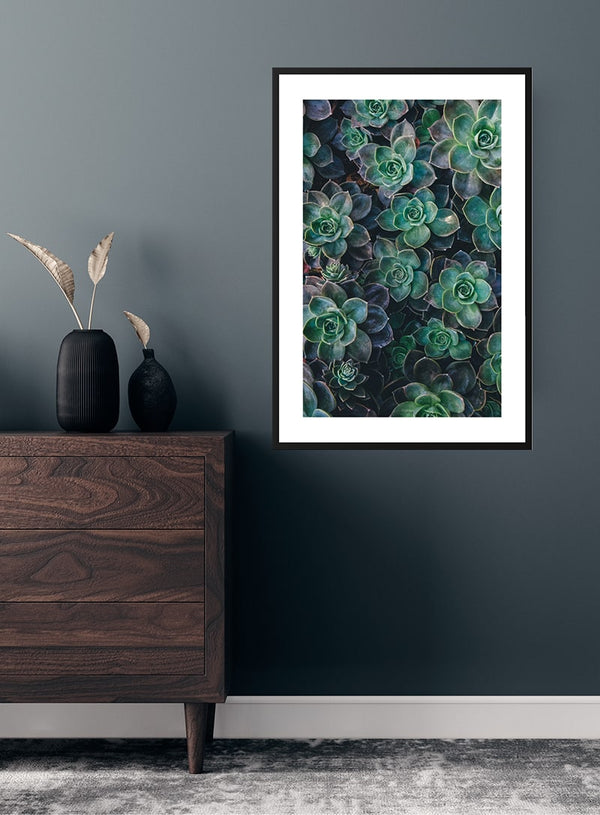 Green Sukkulent 2 poster