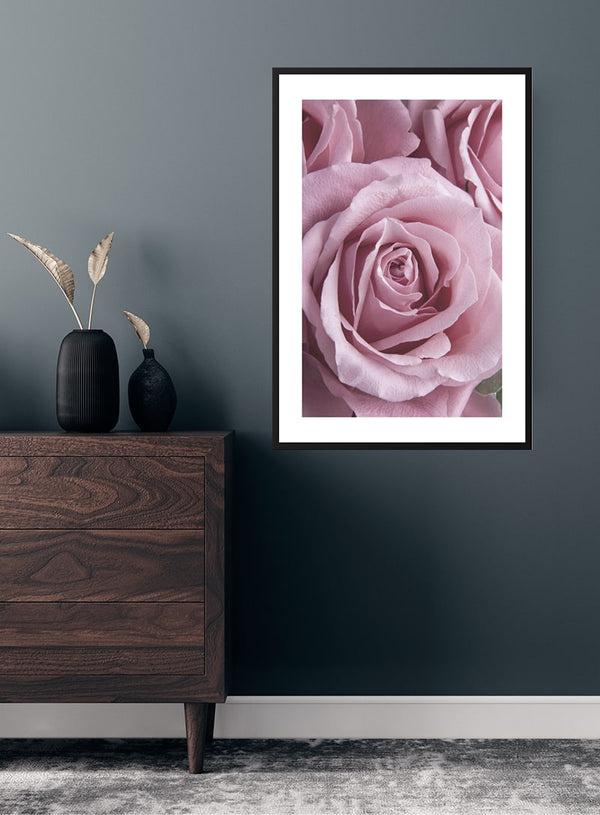 Pink Single Rose poster
