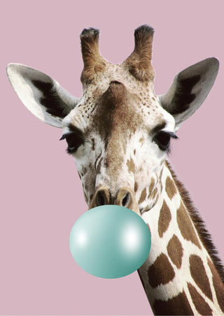 A giraffe blowing a blue bubblegum bubble on a pink background, featured on a decorative poster.