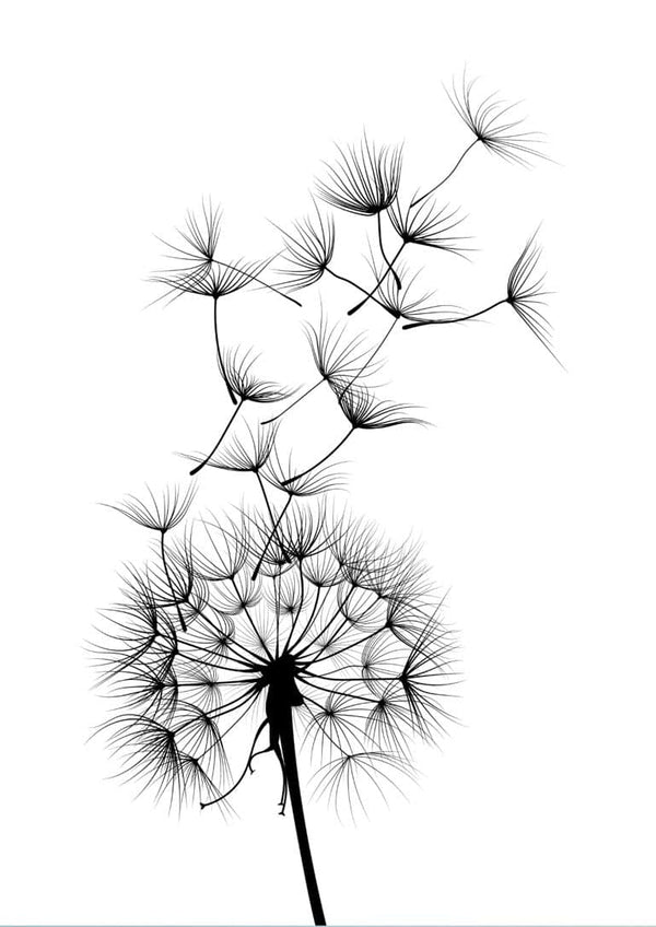 Black dandelion flower poster