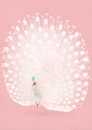 Rosa Pfau von Ohara Koson Poster