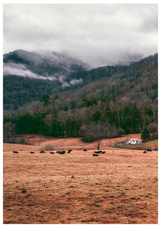 Poster showing misty mountains, a forest, grazing cows, and a small farmhouse in an open field.