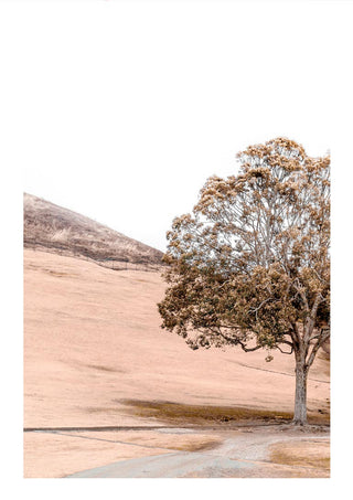 A serene tree stands by Lake Plakat, reflecting mountains and calm skies, featured on the Mountain Mirroring product page.