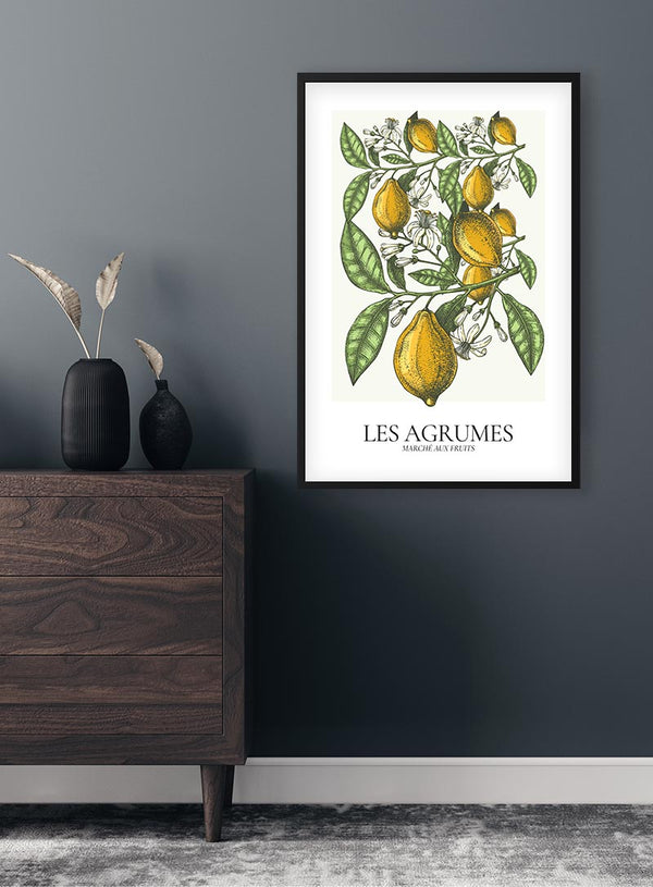 Les Agrumes Poster zum Hinstellen