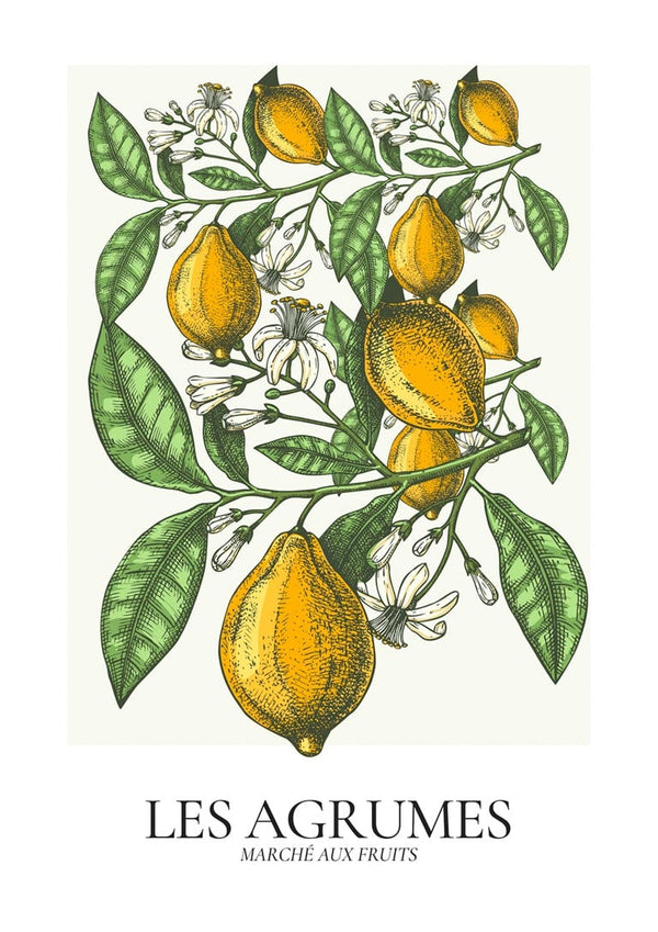 Les Agrumes Poster zum Hinstellen