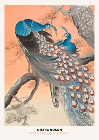 Two vibrant peacocks perched on a tree branch in traditional Japanese art style.