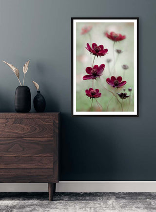 Framed Cosmos Sway artwork by Mandy Disher featuring red cosmos flowers, displayed on a dark wall above a dresser.
