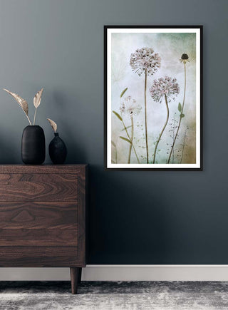Framed Allium flower art print by Mandy Disher displayed on a dark wall above a wooden dresser.