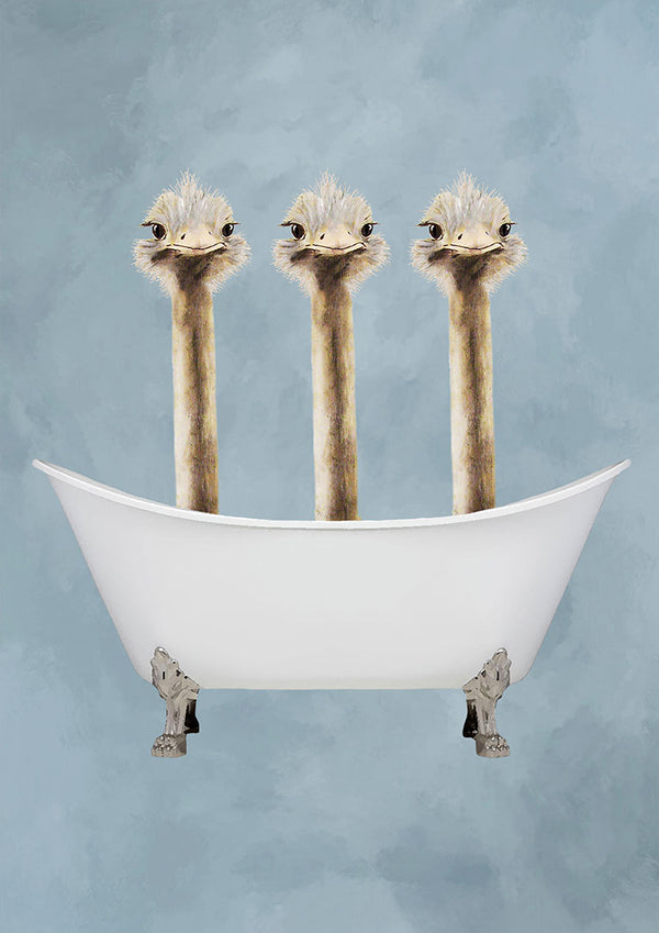 Ostriches in Bathtub - Coco de Paris