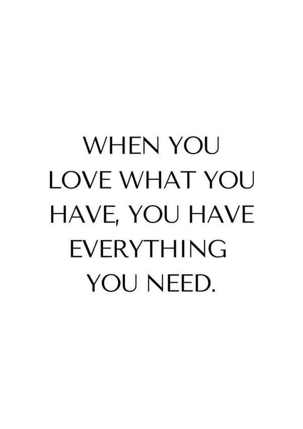Love What You Have Citat Poster