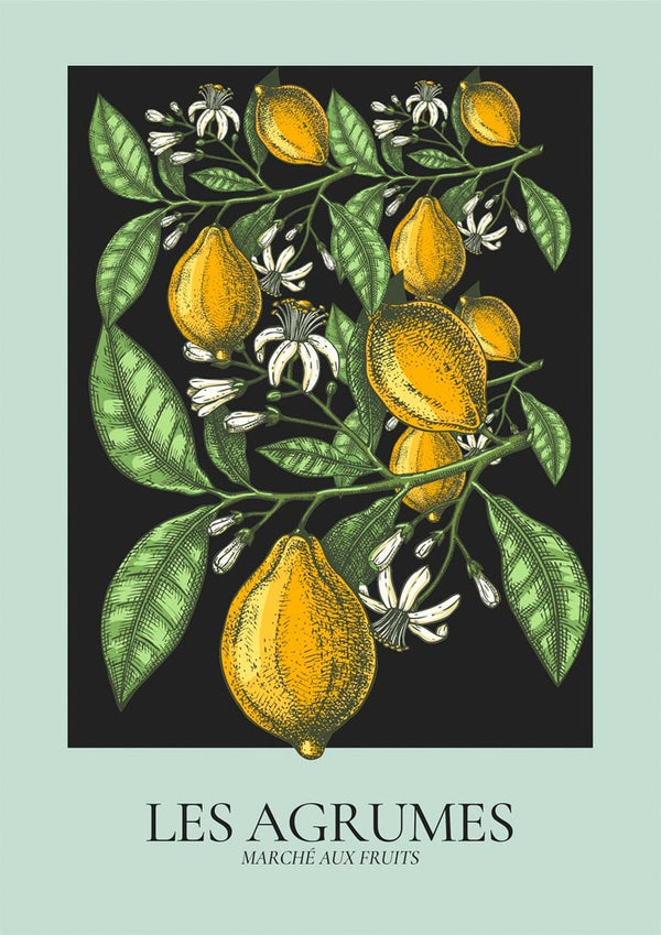 Les Agrumes Green Poster
