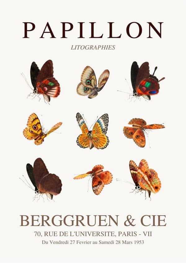 Brown Papillon poster