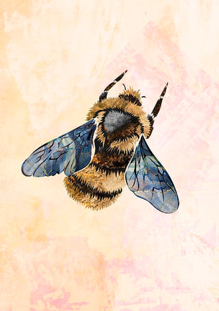 Illustration of a rustic bee with detailed wings on a soft beige and pink textured background.